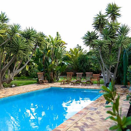 Secret Garden Guesthouse Блуберґстранд Екстер'єр фото