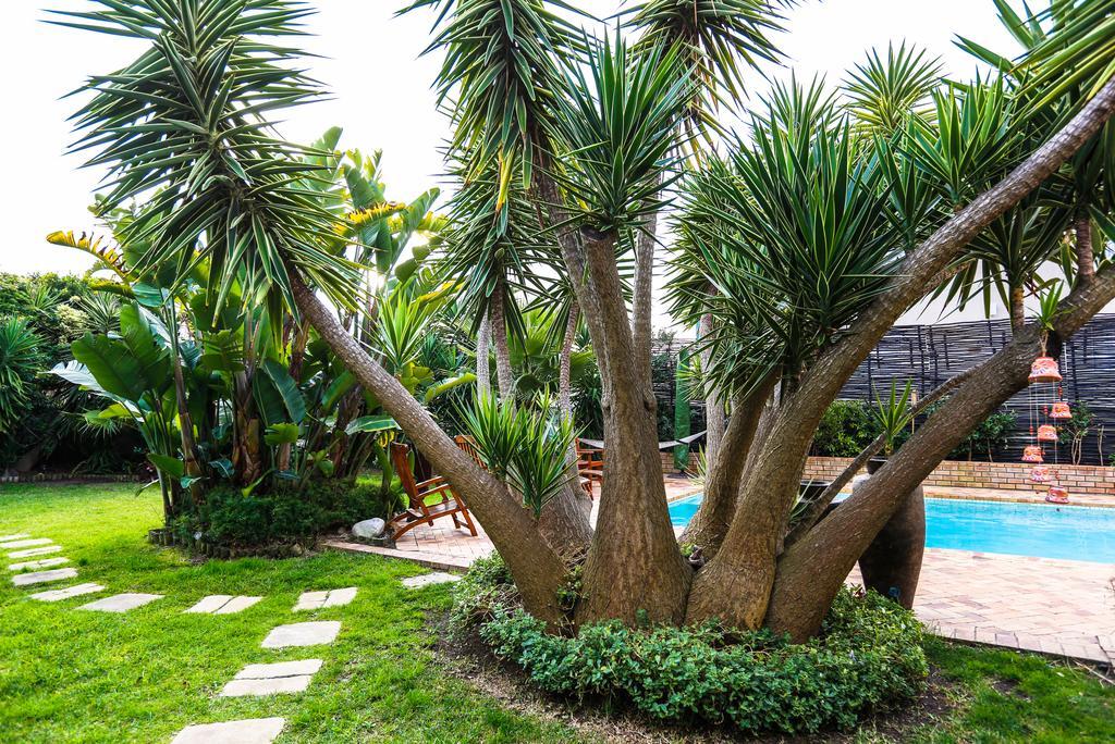Secret Garden Guesthouse Блуберґстранд Екстер'єр фото